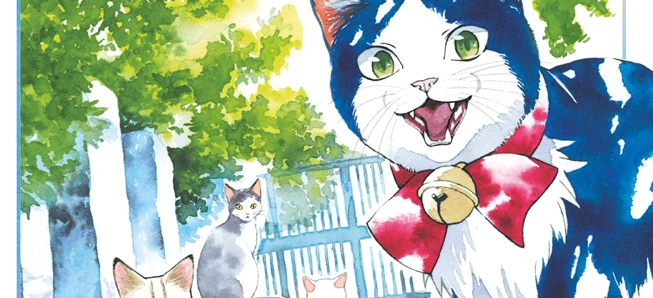 Le chat aux sept vies croise une humaine spéciale...