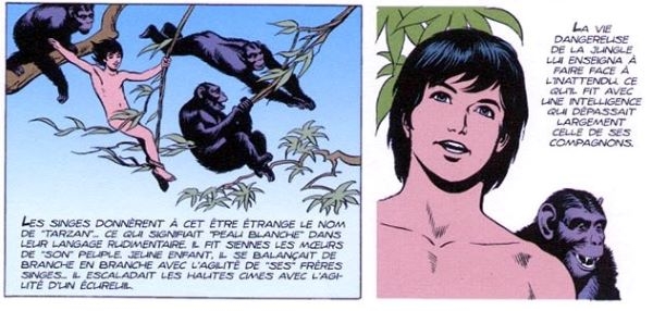 Parmi les héros de bande dessinée, Tarzan est celui qui a été le plus représenté...