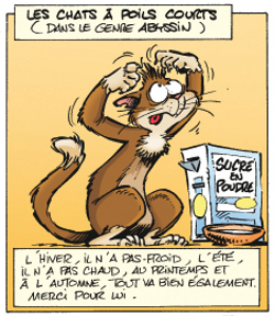 Comme le chat, le dessinateur de BD est un solitaire qui aime parfois retrouver ses semblables...