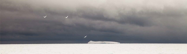 Photo extraite de La Lune est blanche La photo d'un iceberg de François Lepage présente dans le livre