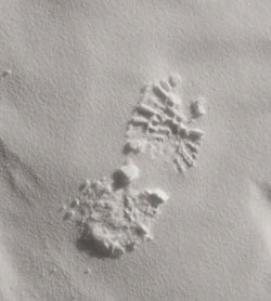 Photo de François Lepage Une trace, photographiée par François Lepage